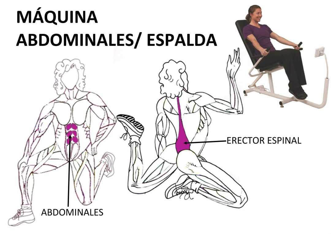 Entrenamiento para fortalecer el tronco Gimnasio Curves Entrenamiento para fortalecer el tronco Gimnasio Curves