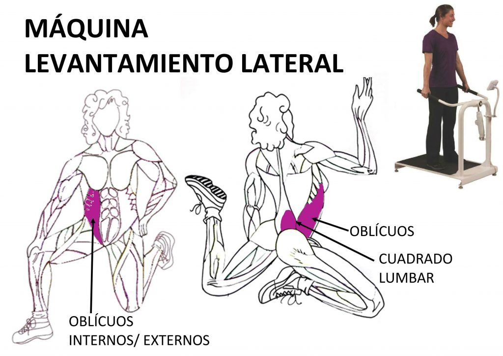 Entrenamiento para fortalecer el tronco Gimnasio Curves Entrenamiento para fortalecer el tronco Gimnasio Curves